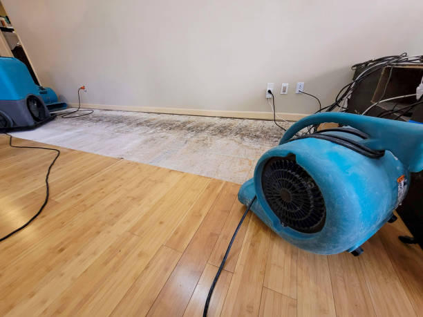 Professional Ceiling Water Damage Repair technician working in Steedman, MO